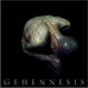 Gehennesis