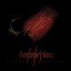 Dismantling Devotion