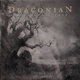 Arcane Rain Fell