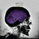 Chaos_Introspection [EP]
