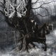 Unblessed Woods