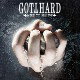 Copertina di Need To Believe dei Gotthard