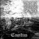 Cantus
