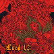 Lord 13