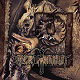 Onset Of Putrefaction