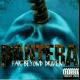 Copertina di Far Beyond Driven dei Pantera