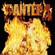Copertina di Reinventing The Steel dei Pantera