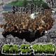 Copertina di Alive at the Dynamo dei Sacred Reich