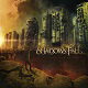 Copertina di Fire From The Sky dei Shadows Fall