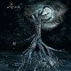Rebirth