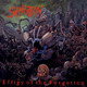 Effigy Of The Forgotten