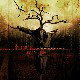 Fragments Of Lust & Decay