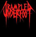 Trampled Underfoot