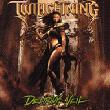 Copertina di Delirium Veil dei Twilightning