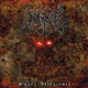 Copertina di Sworn allegiance dei Unleashed