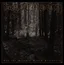 And the Forests dream eternally