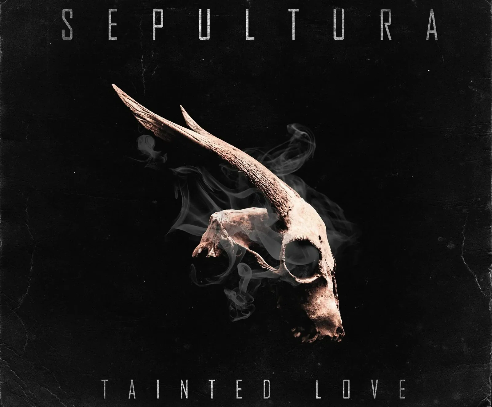 Sepultura: la cover della celebre hit 'Tainted Love' per la TV brasiliana