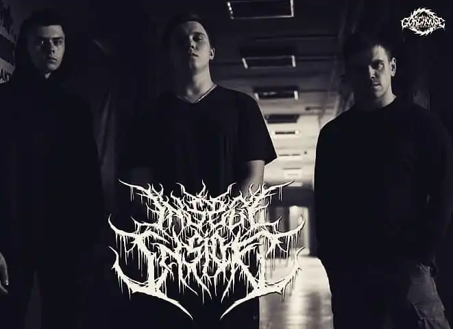 Insect Inside: a febbraio 'The First Shining Of New Genus', l'album di debutto