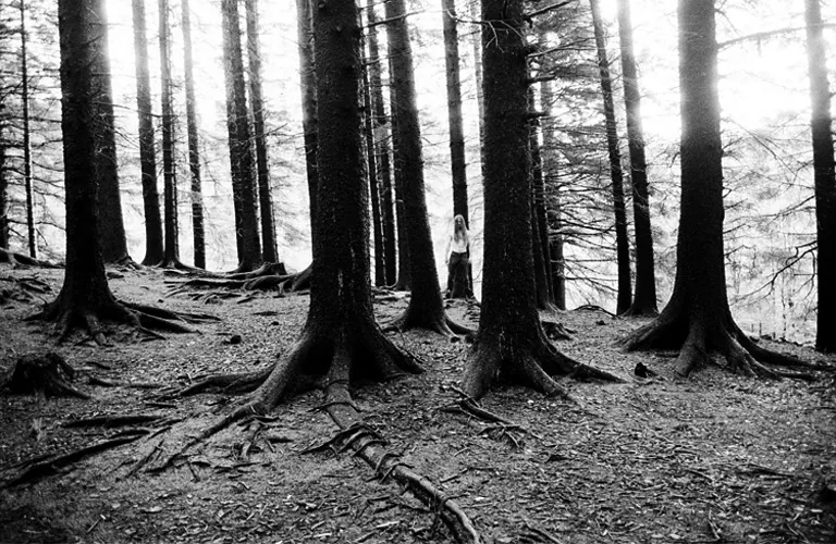 Playlist by TrueMetal.it: su Spotify la nostra nuova playlist “In the Absence Ov Light – The best of Black Metal”