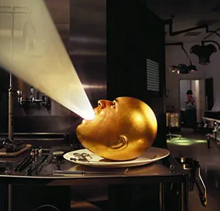 De-loused in the comatorium