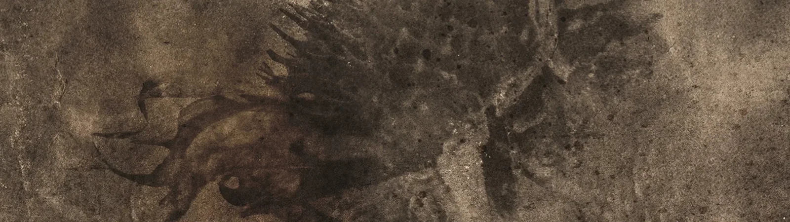 Seeming Emptiness: nuovo album in arrivo tramite Naturmacht Productions, brano in anteprima