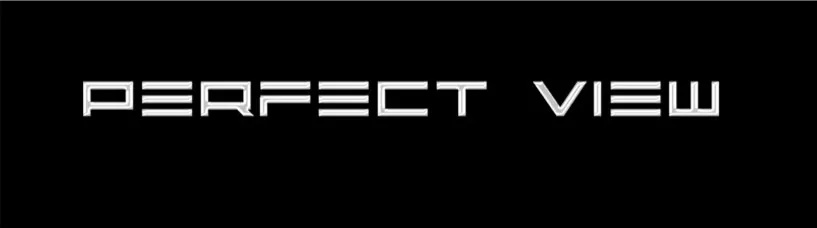 Perfect View: casting per il nuovo cantante
