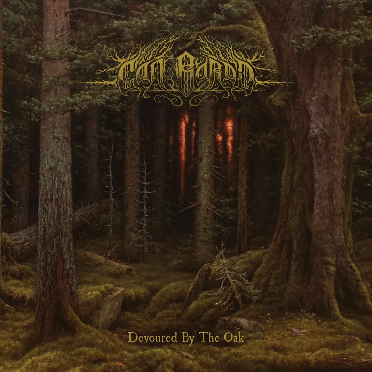 Devoured by the oak