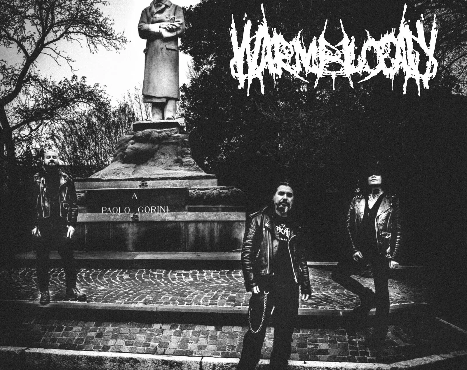 Warmblood: nuovo album all'orizzonte