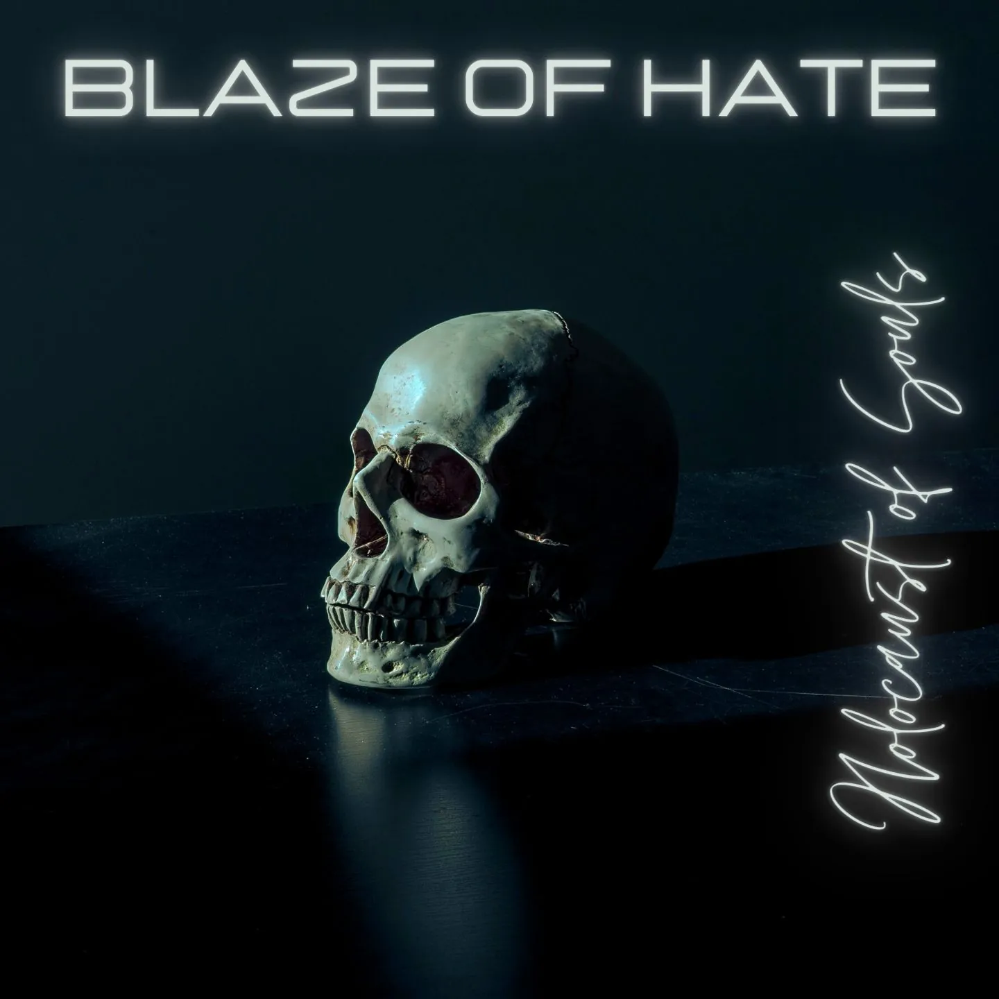 Holocaust Of Souls