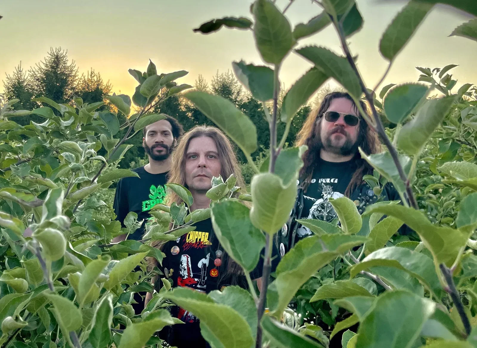 Acid Witch: annunciano il nuovo album "Rot Among Us"; ascolta il primo singolo