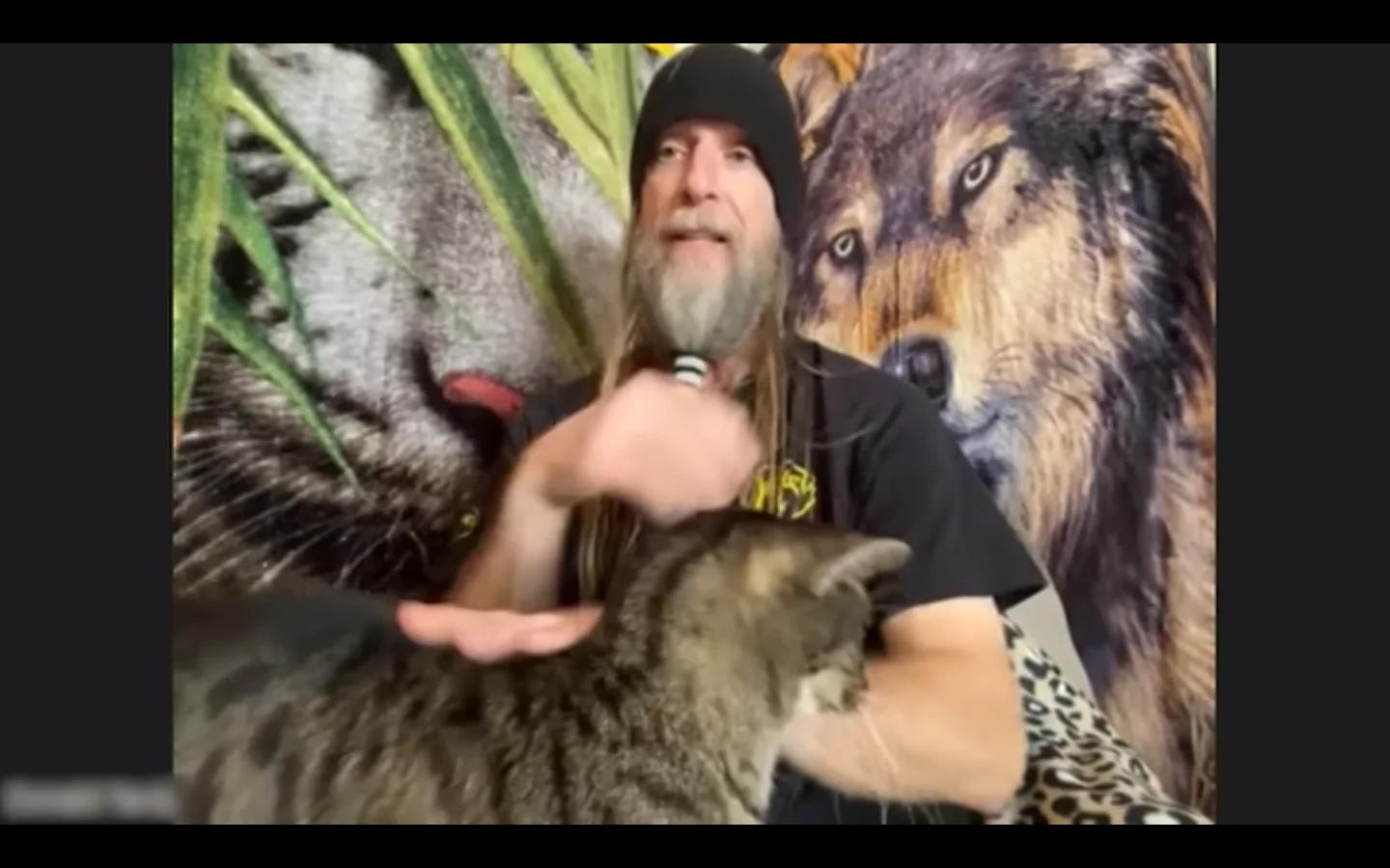 Obituary: Donald Tardy sulla CNN per le sue colonie feline Metal Meowlisha