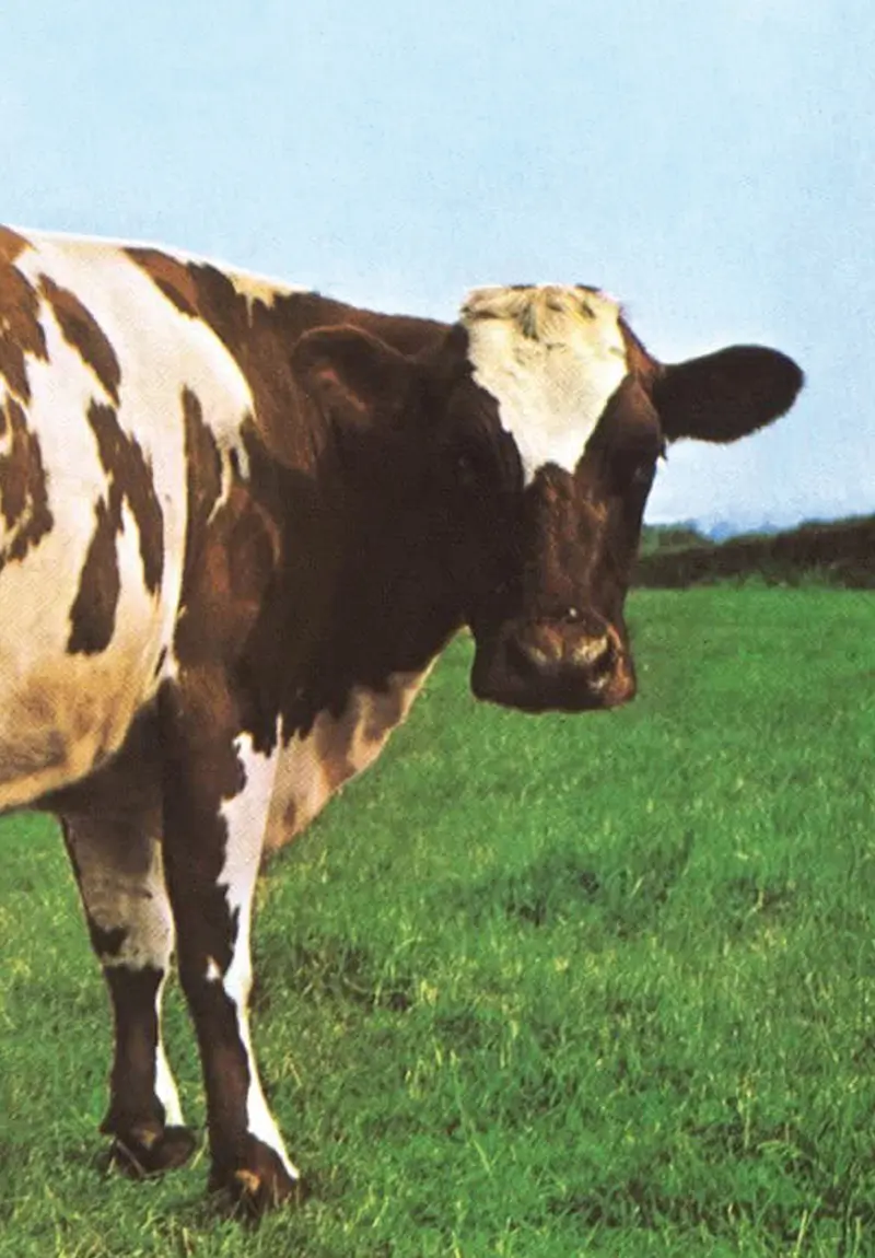 Pink Floyd: fuori il libro di Atom Heart Mother, l'album che cambiò tutto!