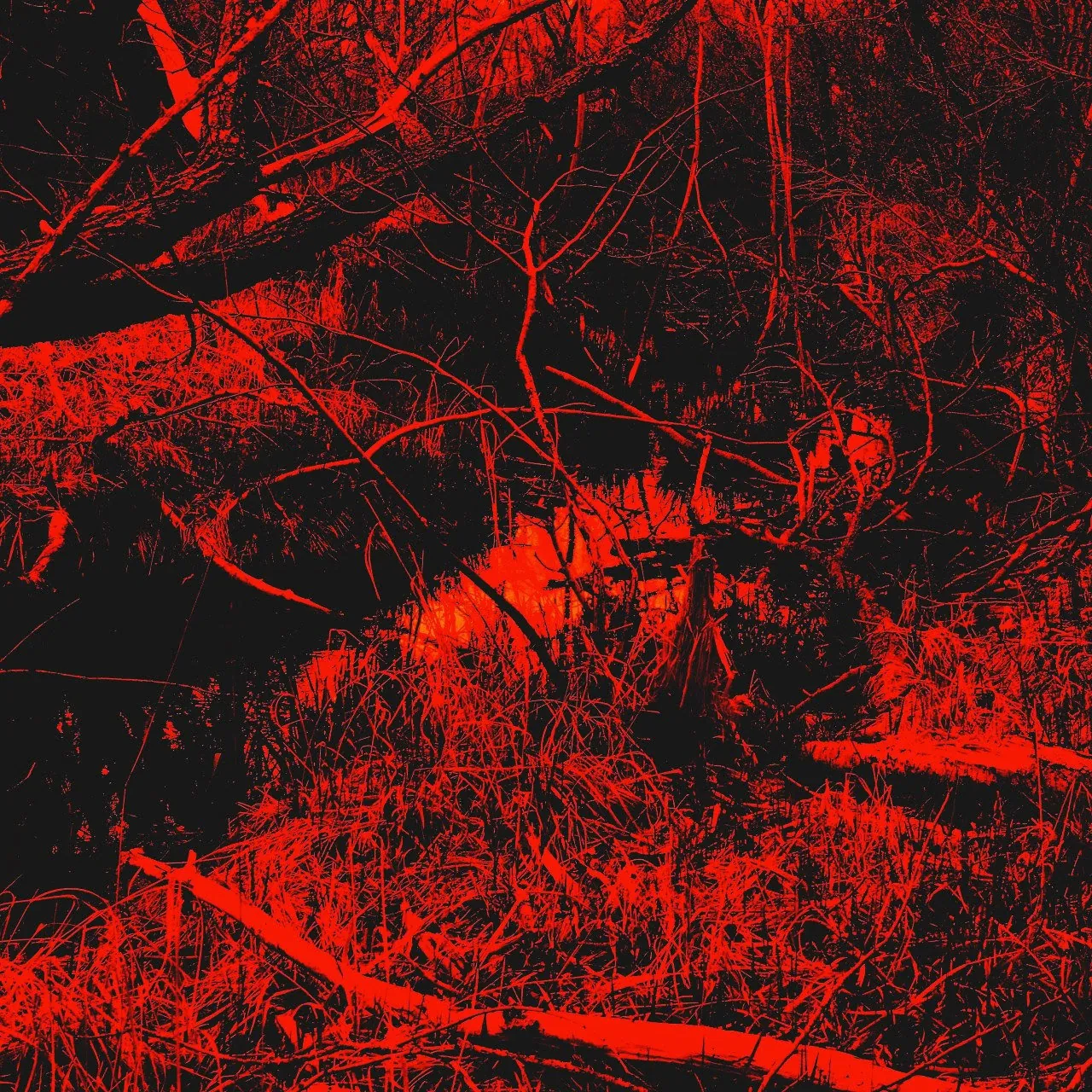 Discordant Meditation: è uscito in cassetta l'EP "Anticosmic Womb"