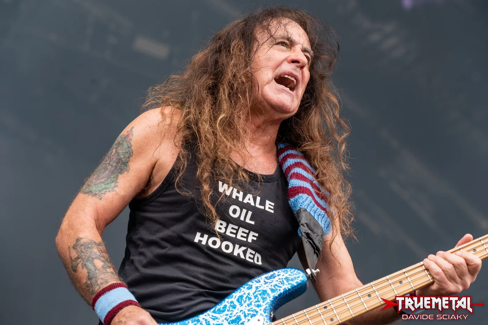 Iron Maiden: Steve Harris, "La gente pensa sia matto, ma adoro suonare dal vivo!"