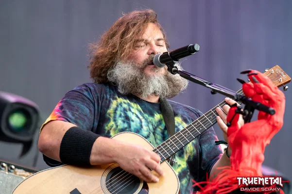 Tenacious D-4
