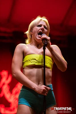 Amyl and the Sniffers-5