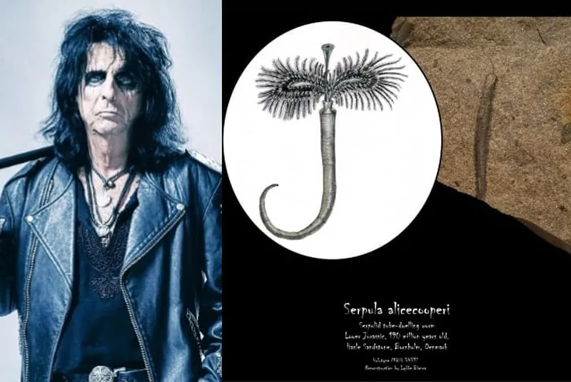 Alice Cooper: un fossile in suo onore
