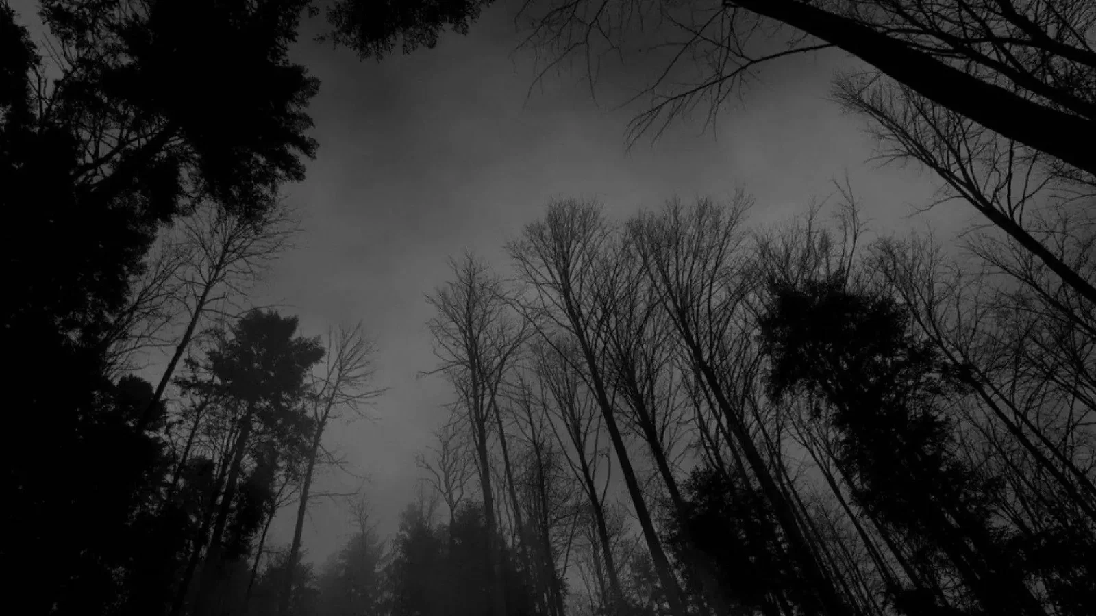 4 album epic doom metal da consigliare