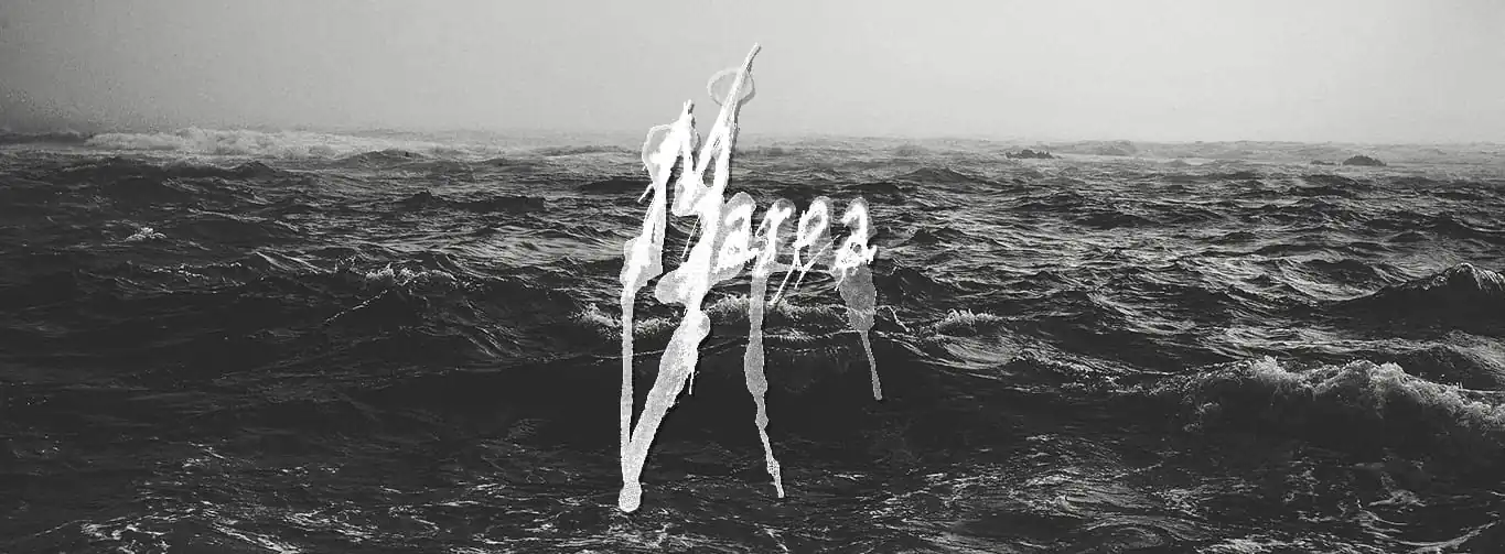 Are You Experienced? Marea