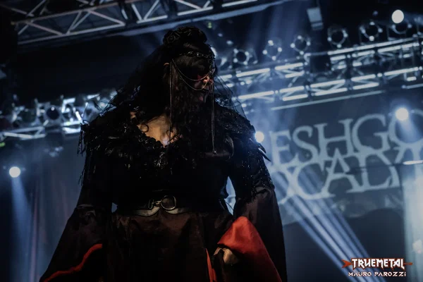 Flashgod Apocalypse (5)