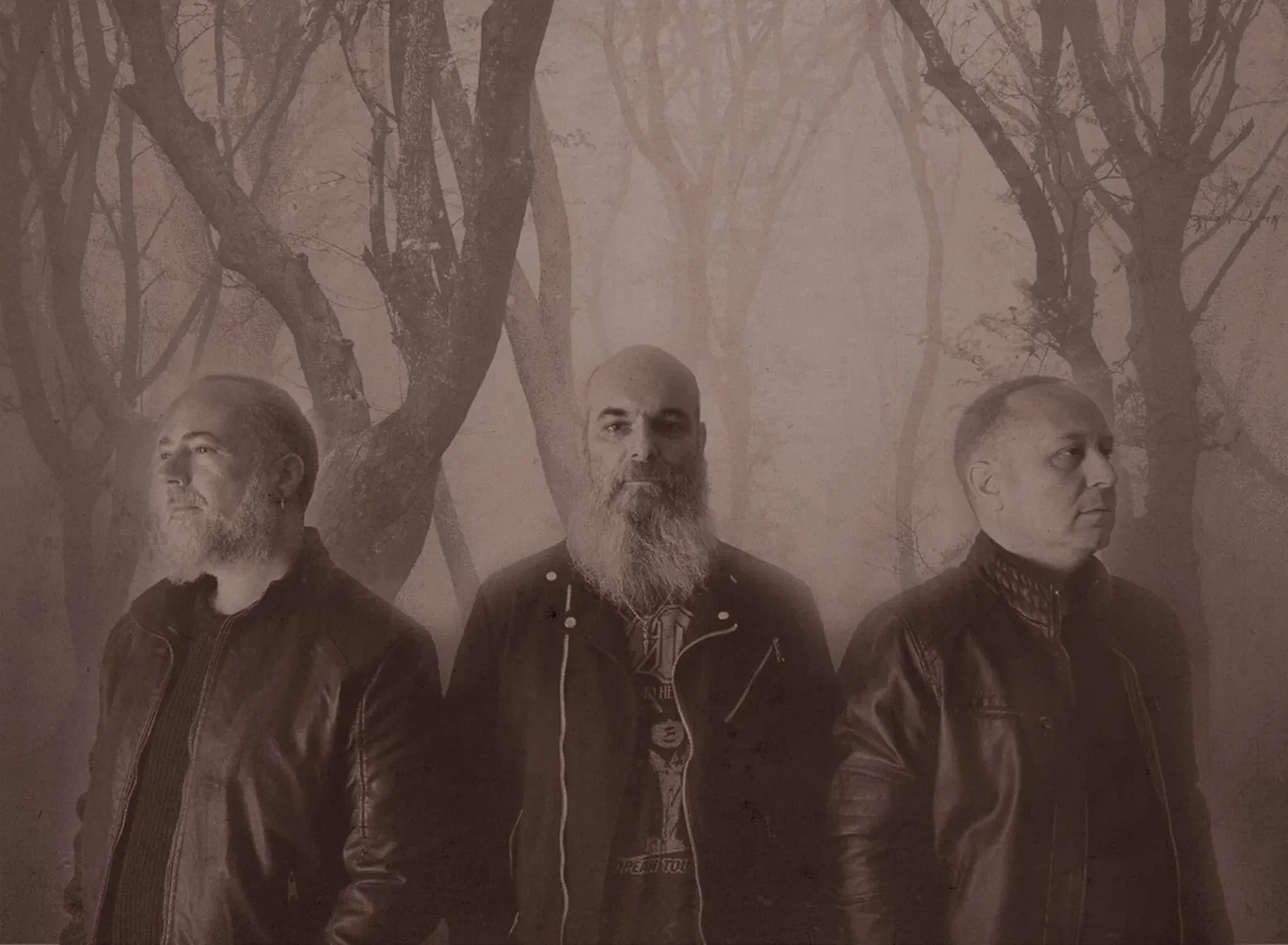 Eternal White Trees: omaggiano i Talk Talk con la cover di "Such a Shame"