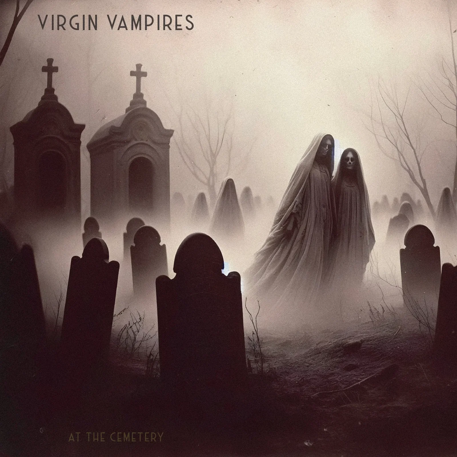 Virgin Vampires: ascolta At The Cemetery', il nuovo singolo