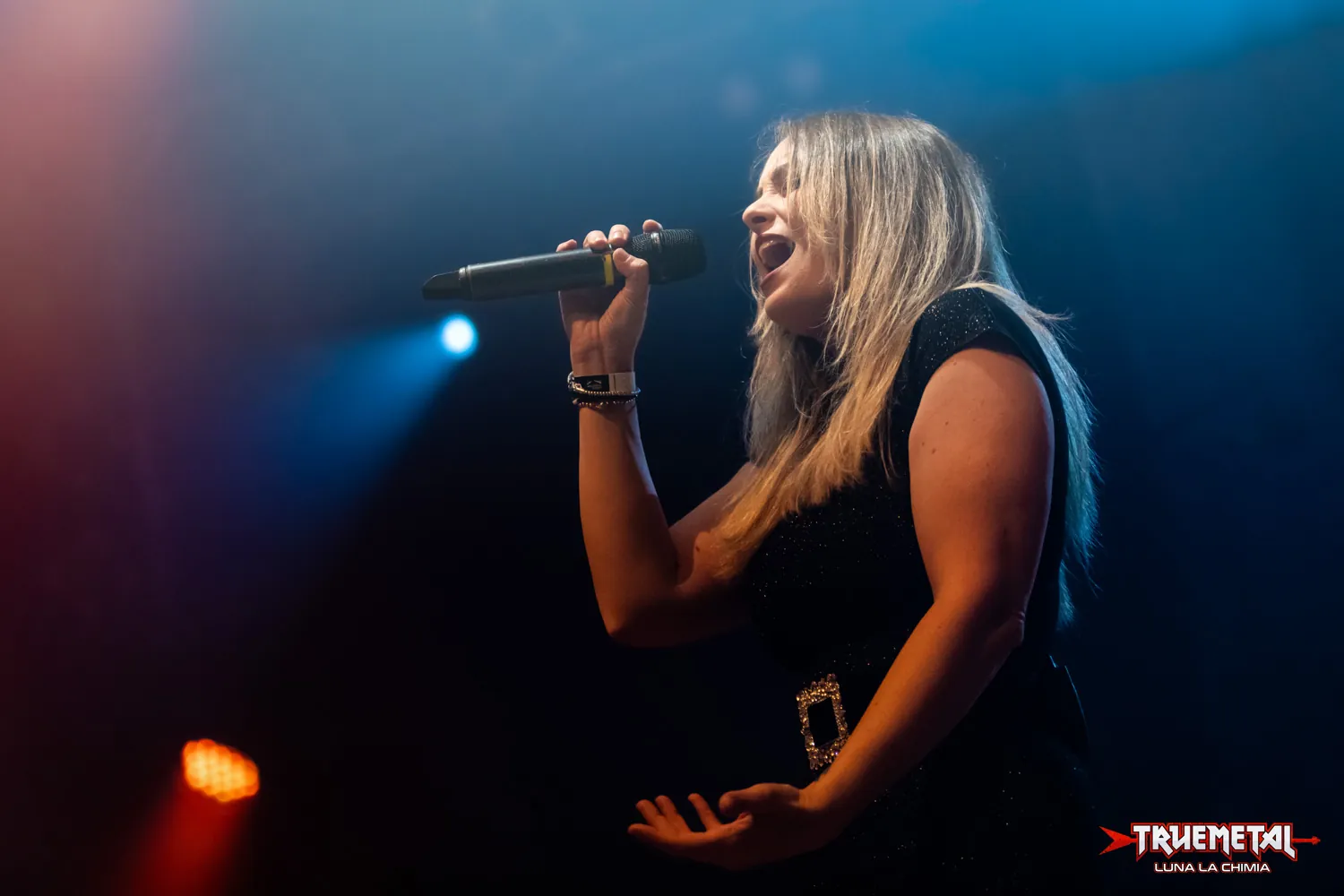 Ancient Bards e Moonlight Haze: annunciati gli orari delle date italiane