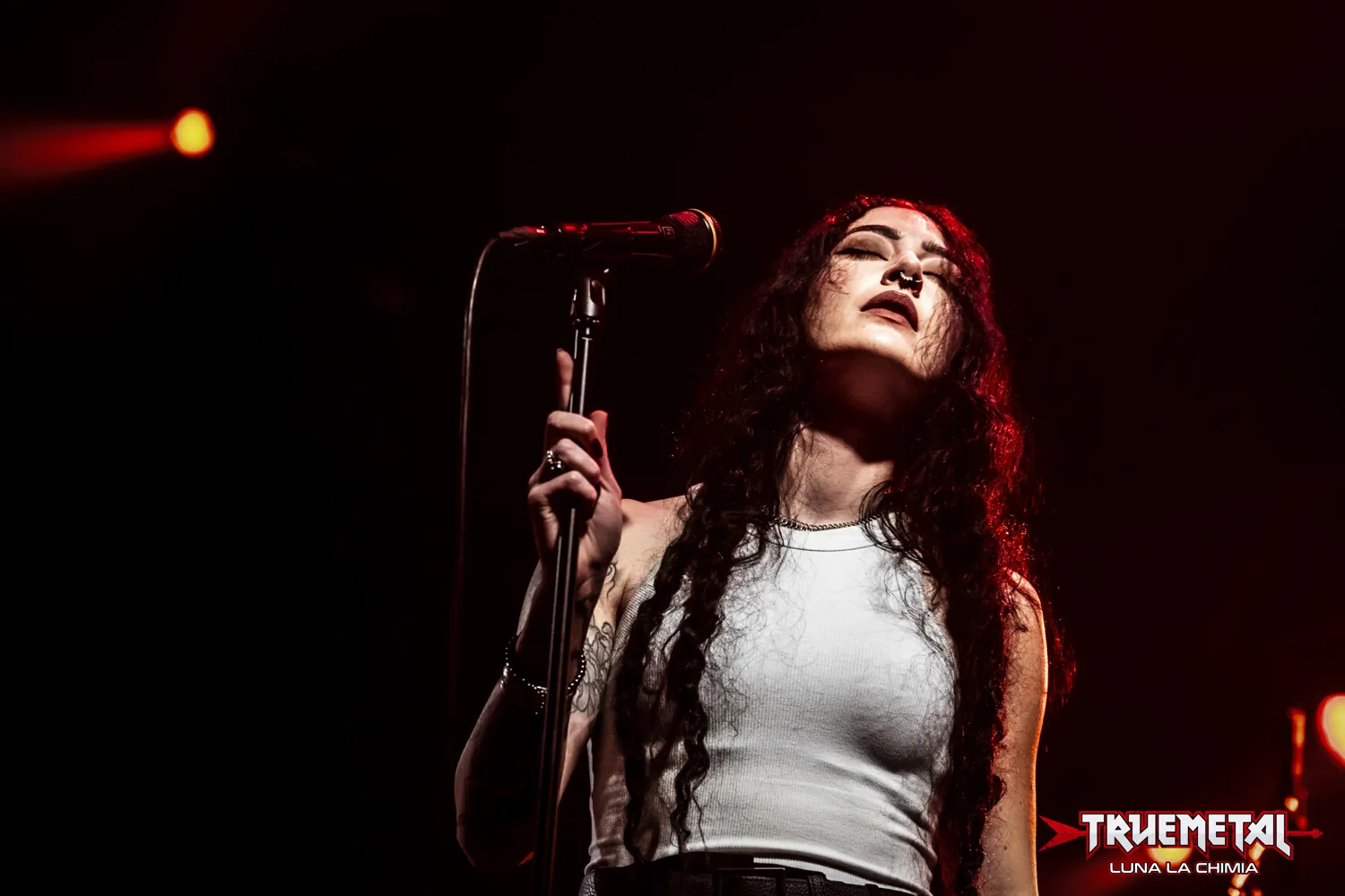 Messa: condiviso il live video per "Reveal"