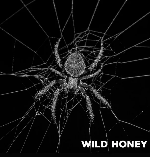Bastion Rose: il singolo "Wild Honey"