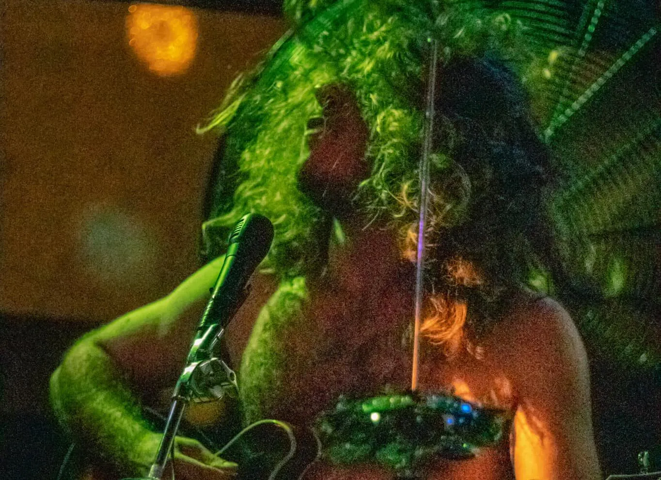Snake Legs: pubblicato il nuovo album "Eat Your Food, Dear, There's Starving Children In Detroit"
