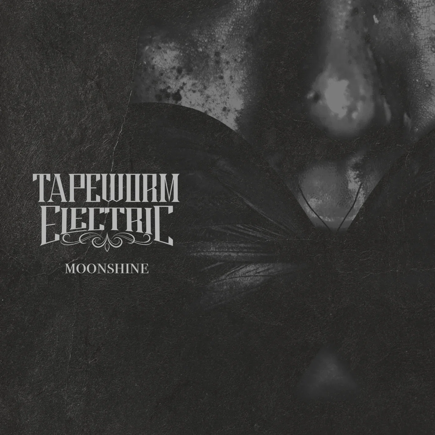 Moonshine