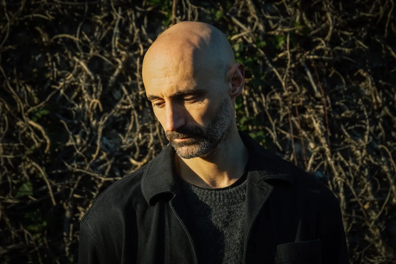 VLMV: annunciato il nuovo album "There Will Come Soft Rains"