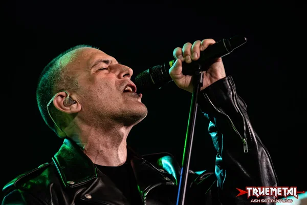 screeching weasel - live club 2026 (4)