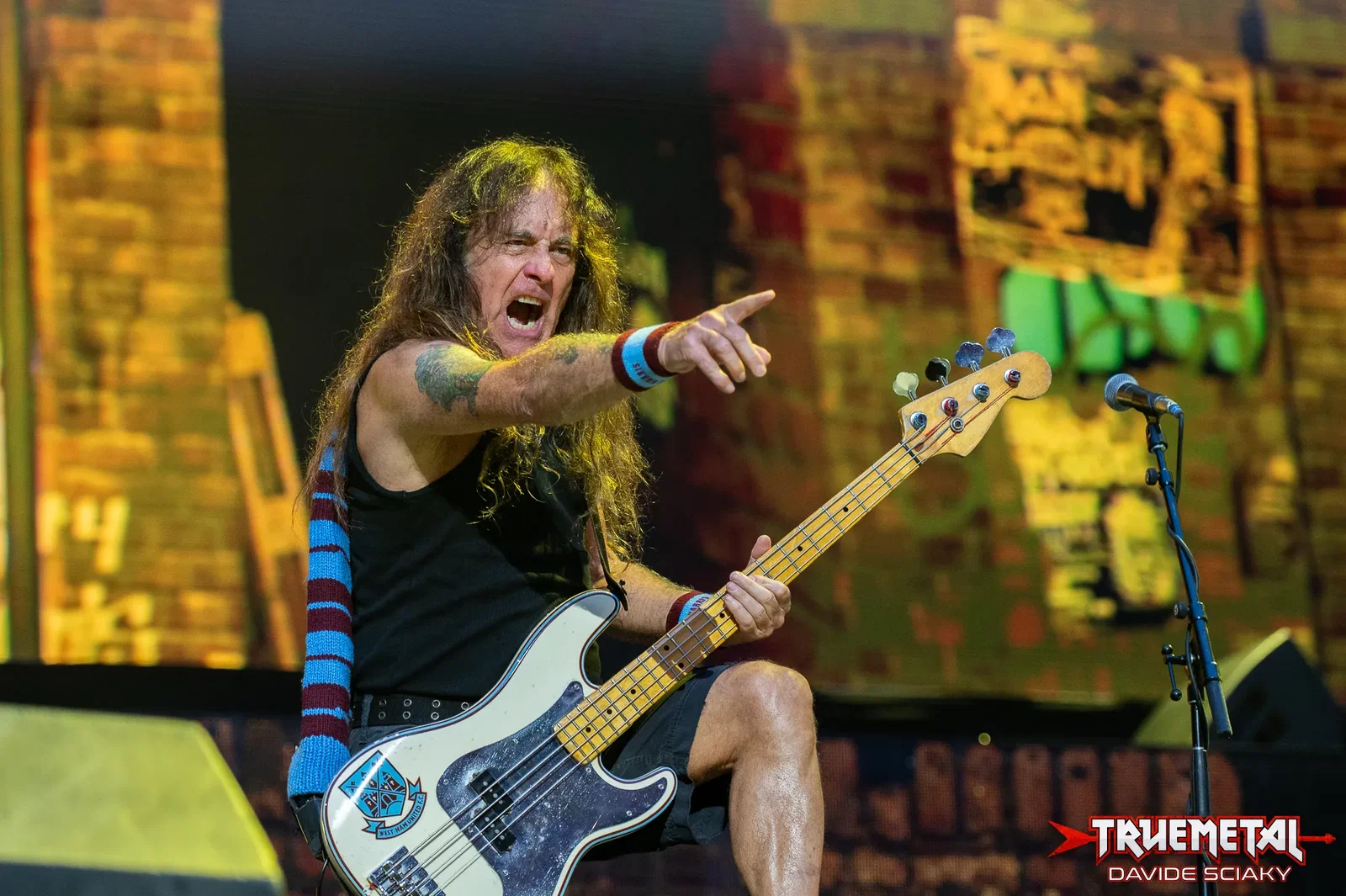 Iron Maiden: Steve Harris, "Il pubblico italiano è tra i migliori al mondo!"